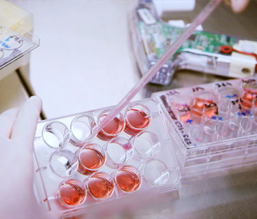 Amgen A Worldwide Pioneer In Biotechnology Access contacts, notable alumni, similar companies, technologies used, job postings and more for free. amgen a worldwide pioneer in