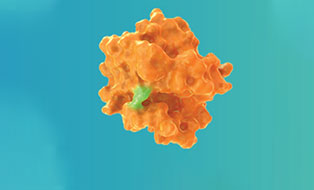 Targeting KRAS G12C in Cancer 