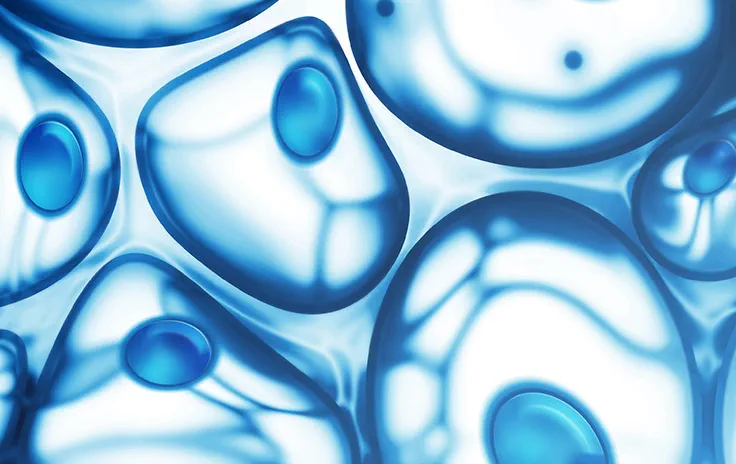 Cells