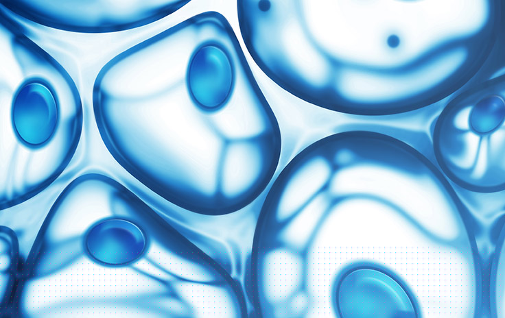 Cells