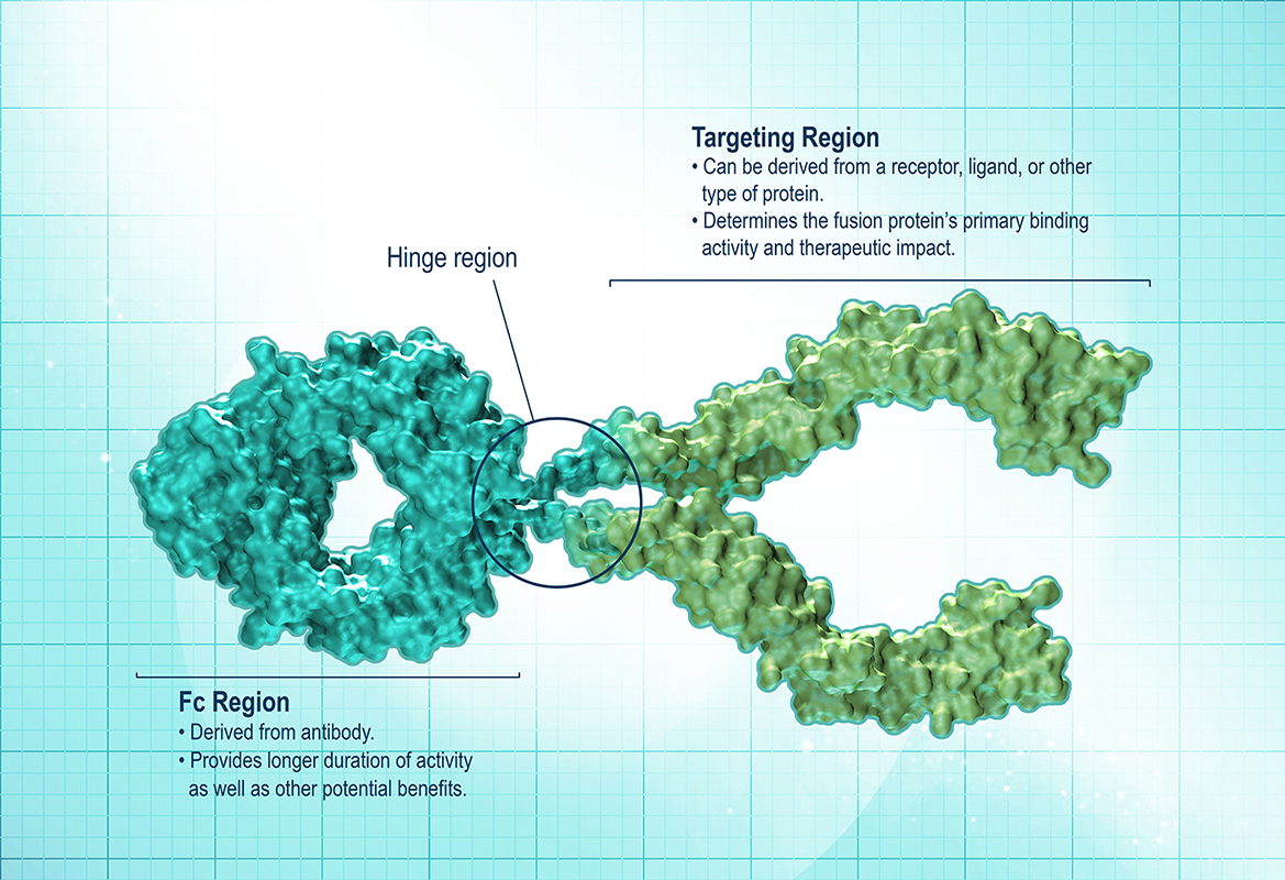 Fusion Protein Amgen