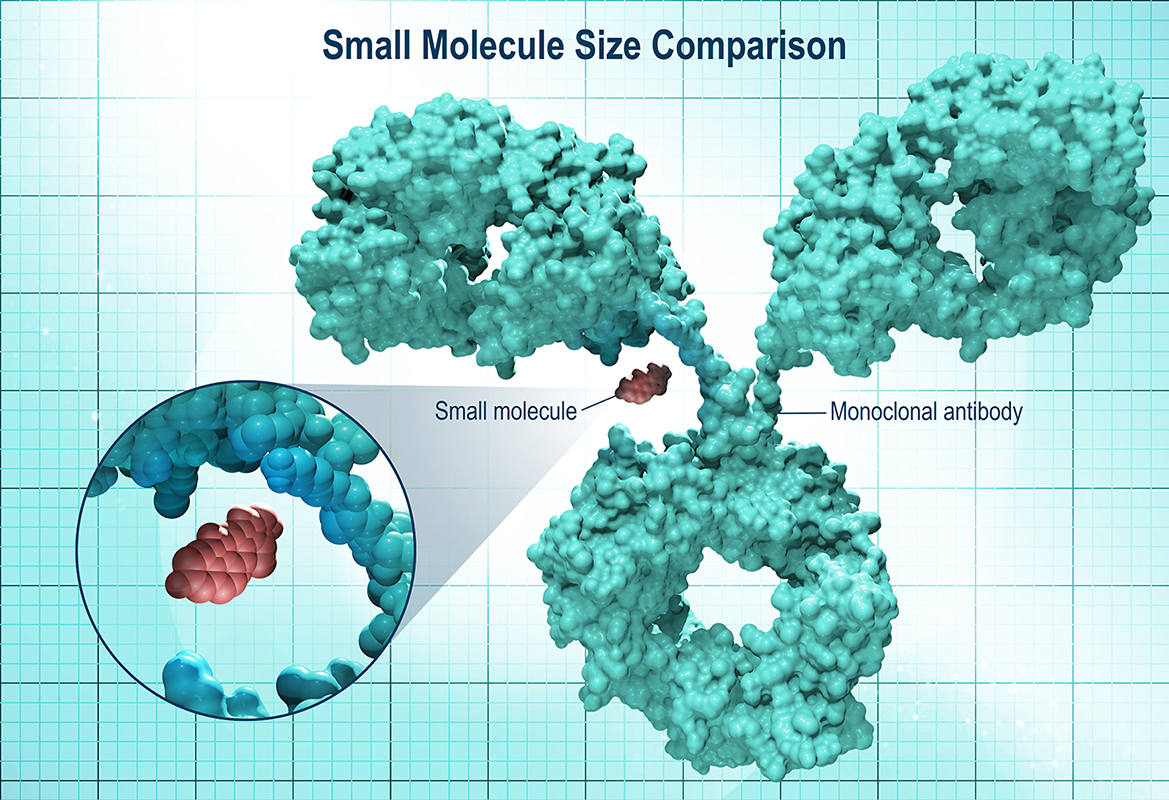 Small Molecule Amgen